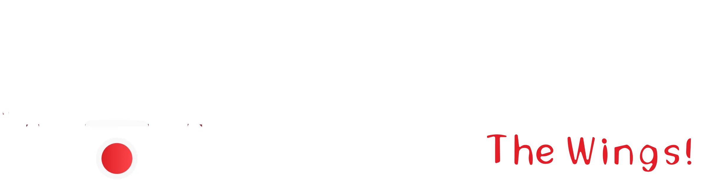 Datadrone top logo W R